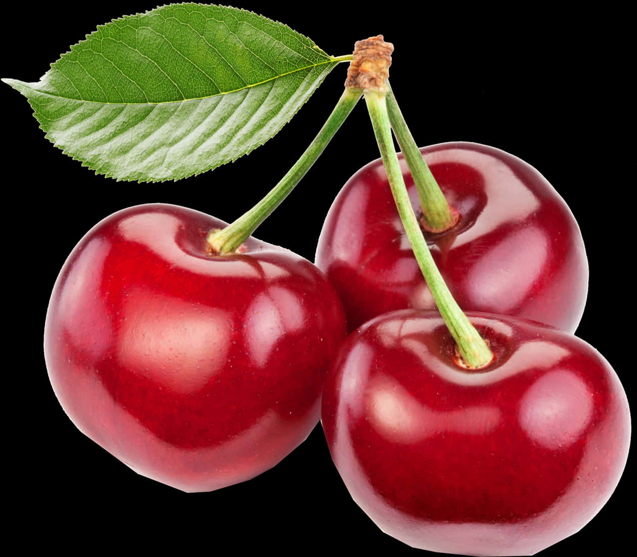 Fresh Red Cherrieswith Leaf PNG Image