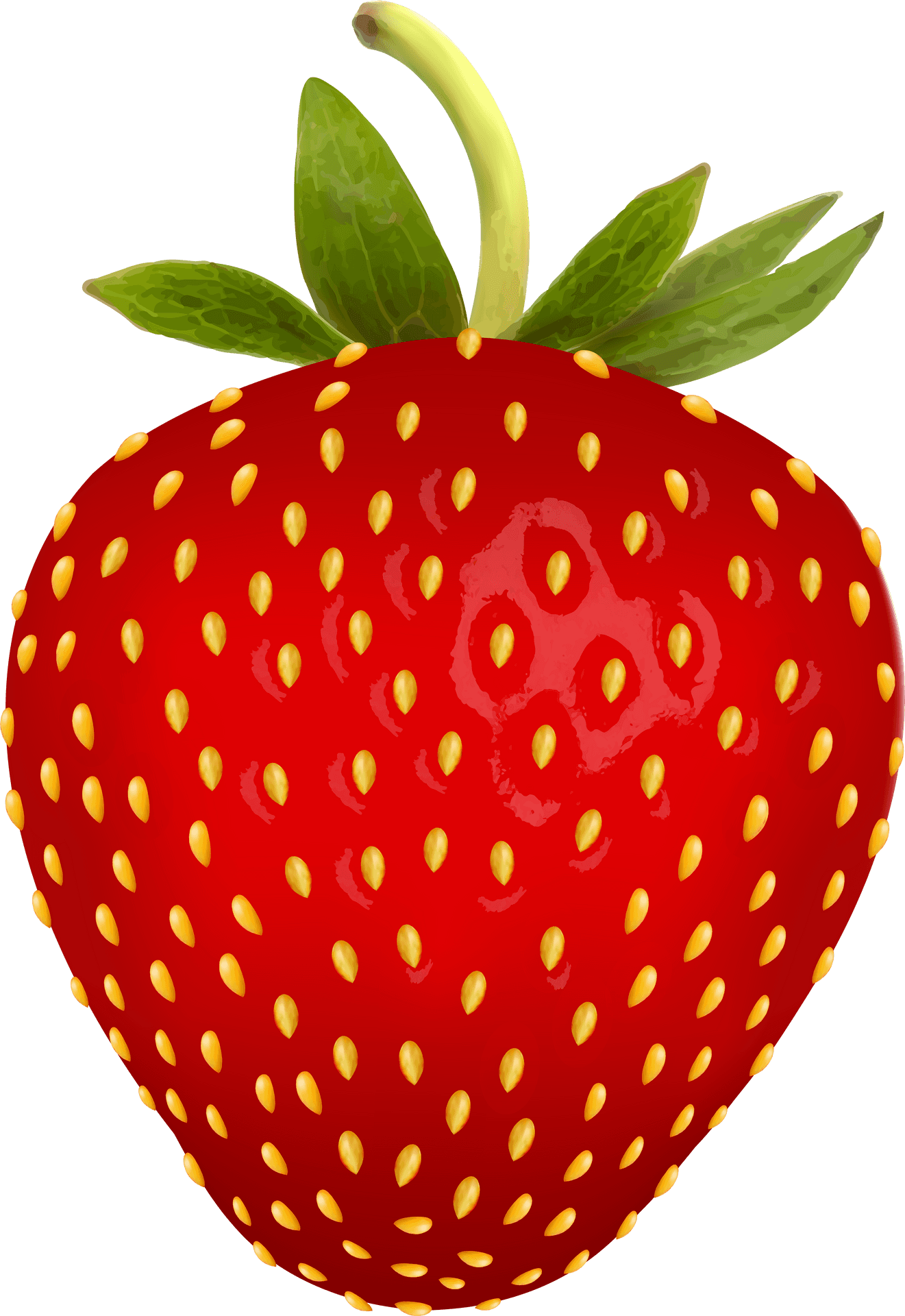 Fresh Red Strawberry Illustration.png PNG Image