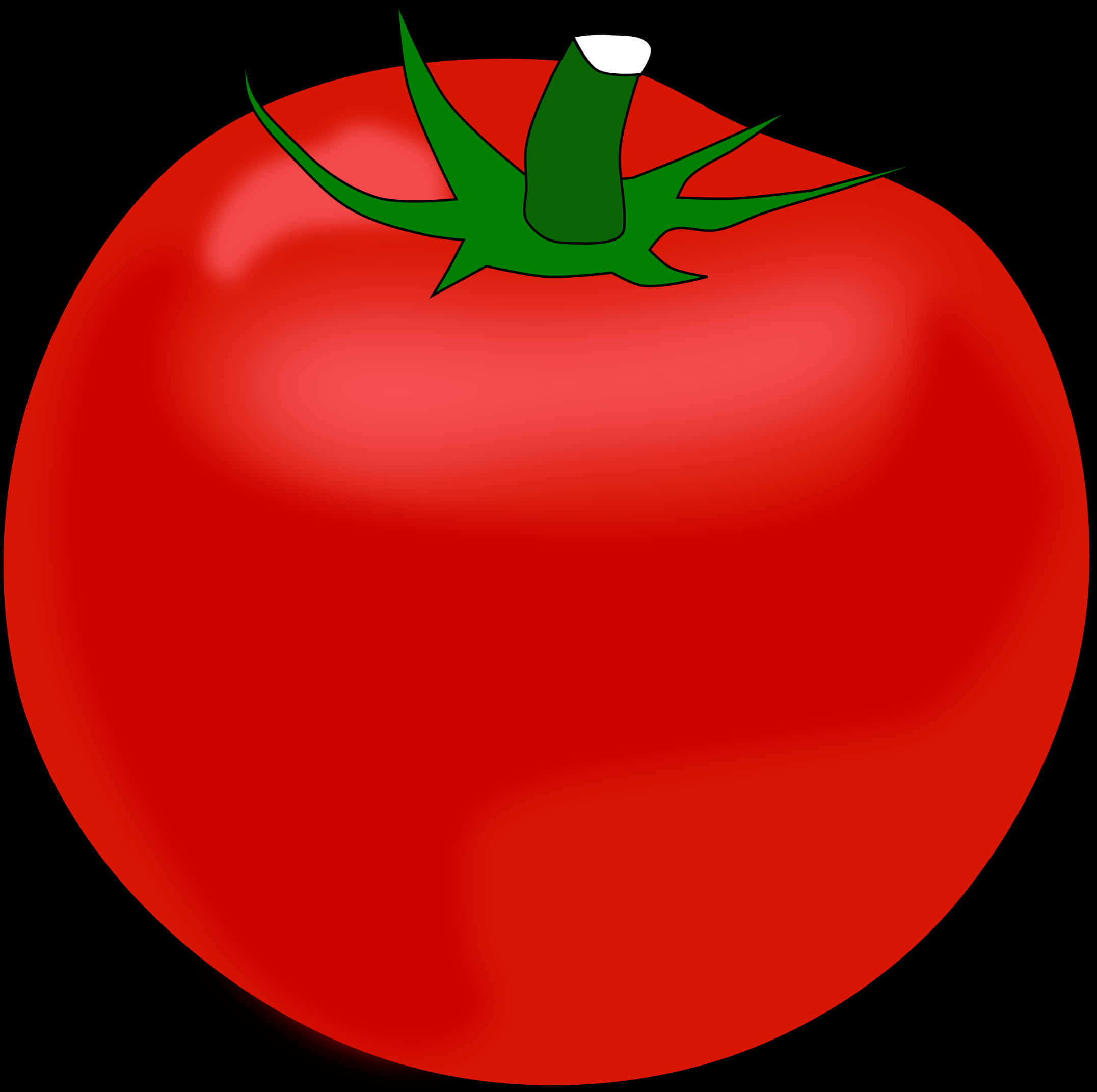 Fresh Red Tomato Illustration PNG Image