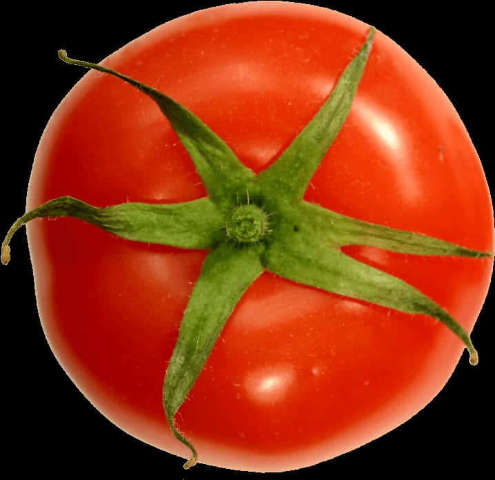 Fresh Red Tomato Top View PNG Image