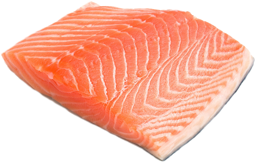 Fresh Salmon Fillet Isolated PNG Image