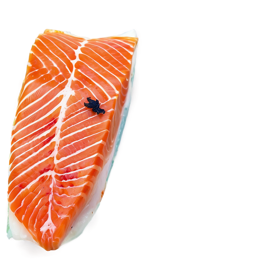 Fresh Salmon Png Xxp PNG Image