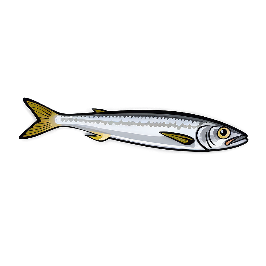 Fresh Sardine Png 92 PNG Image