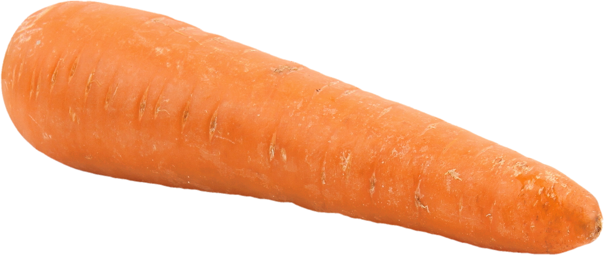 Fresh Single Carrot Isolated.png PNG Image