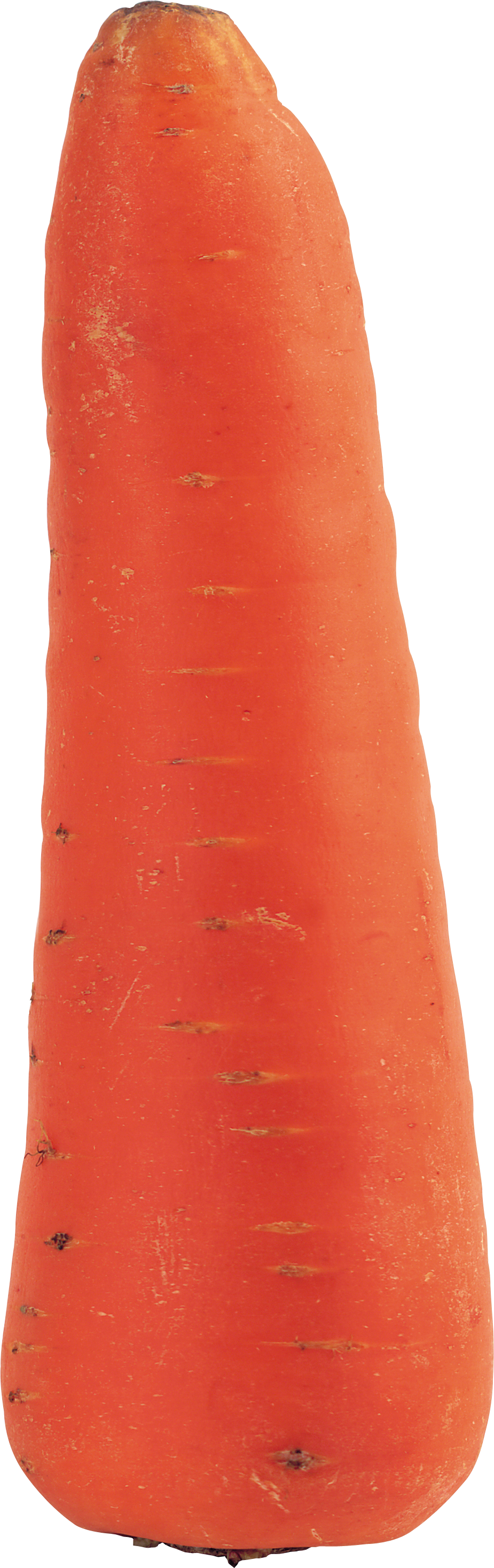 Fresh Single Carrot Isolated PNG Image