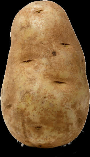 Fresh Single Potato Standing PNG Image