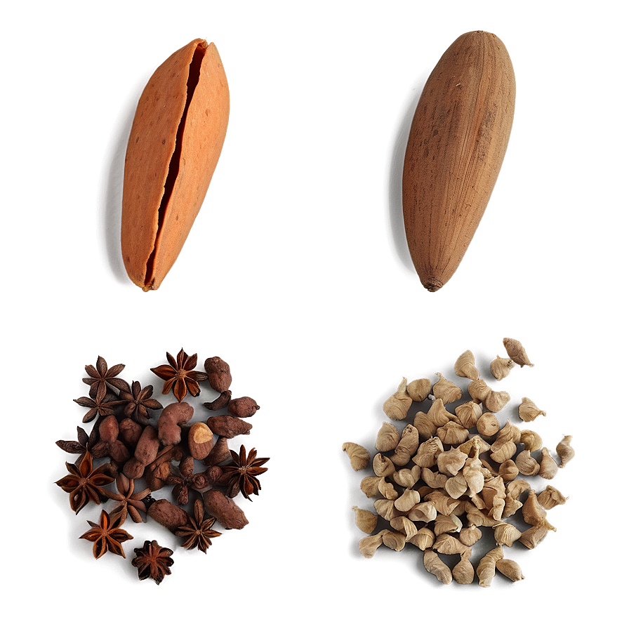 Fresh Spice Assortment Png 06252024 PNG Image