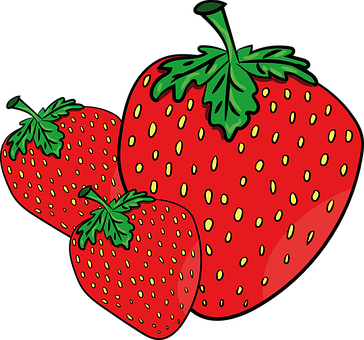 Fresh Strawberries Illustration PNG Image