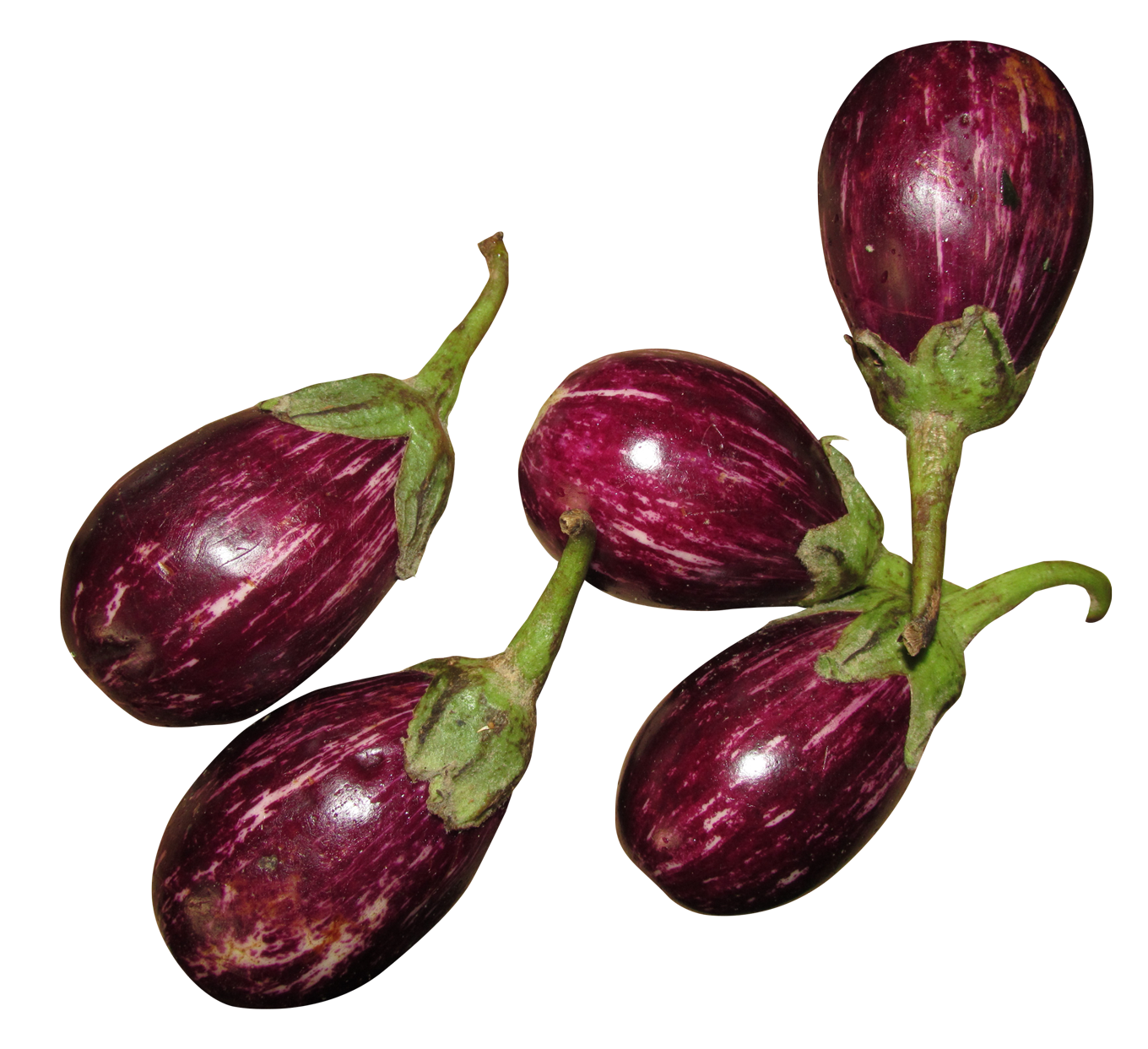 Fresh Striped Eggplants PNG Image