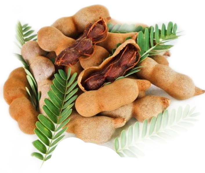 Fresh Tamarind Podsand Leaves PNG Image