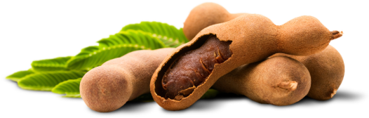 Fresh Tamarind Podsand Leaves PNG Image