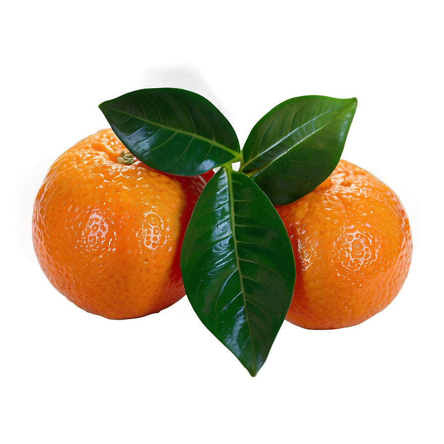 Fresh Tangerine Png 06122024 PNG Image