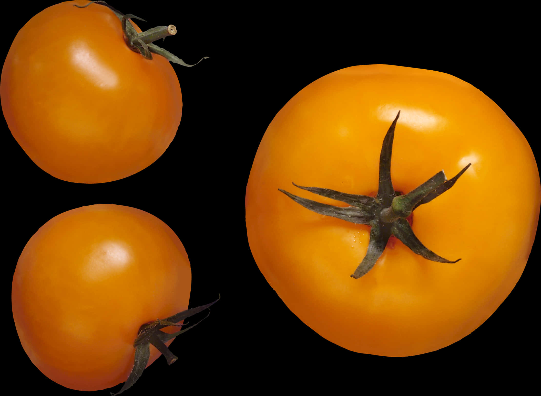 Fresh Tomatoes Black Background PNG Image