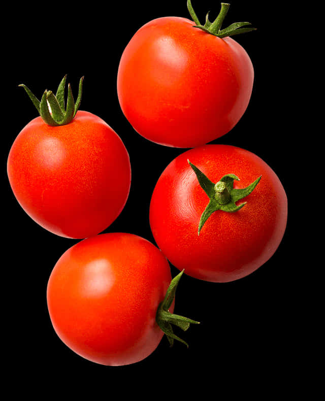 Fresh Tomatoes Black Background PNG Image