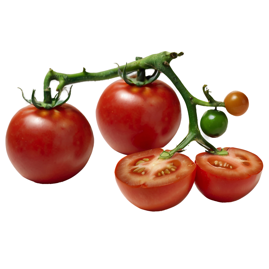 Fresh Tomatoes Png 06212024 PNG Image