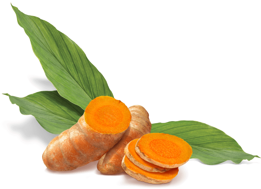 Fresh Turmeric Rootsand Slices PNG Image