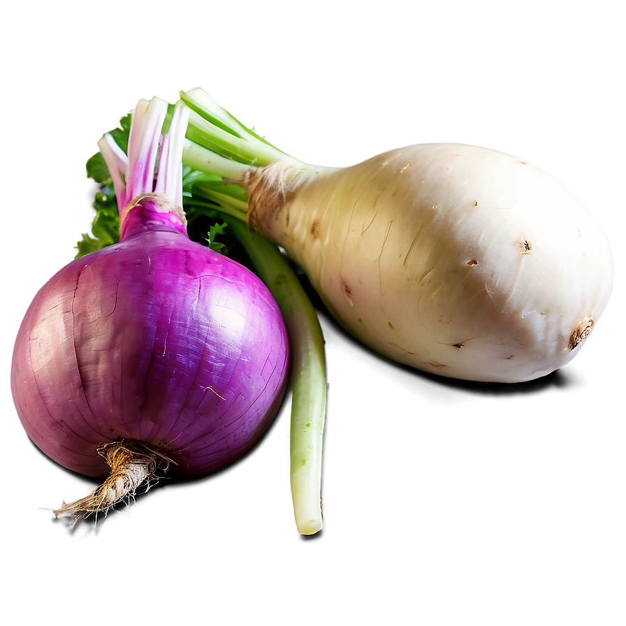 Fresh Turnip Png 06252024 PNG Image