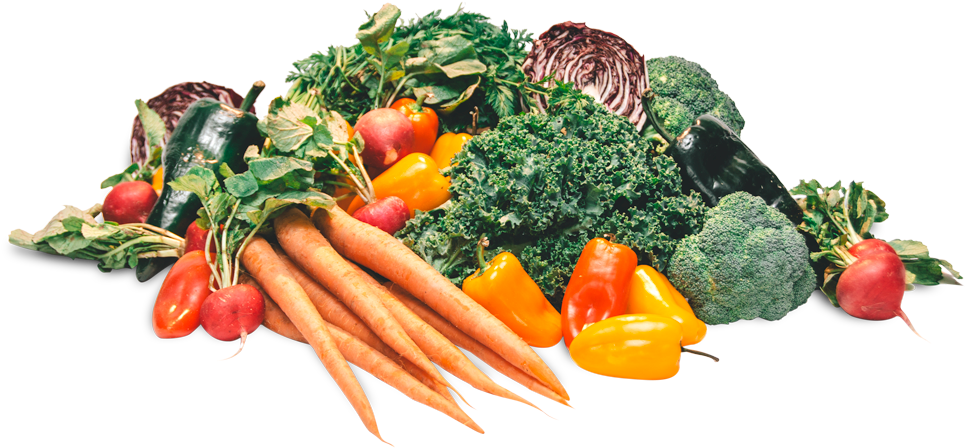 Fresh Vegetables Assortment PNG Image