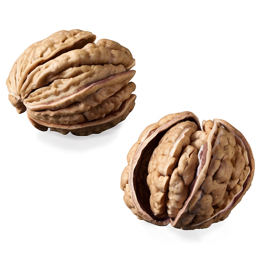 Fresh Walnut Png Tlh PNG Image