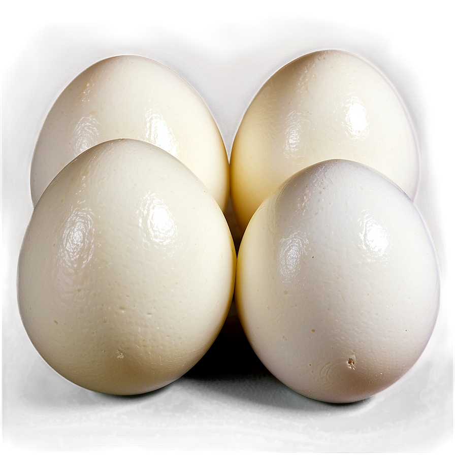 Fresh White Egg Png Njf PNG Image