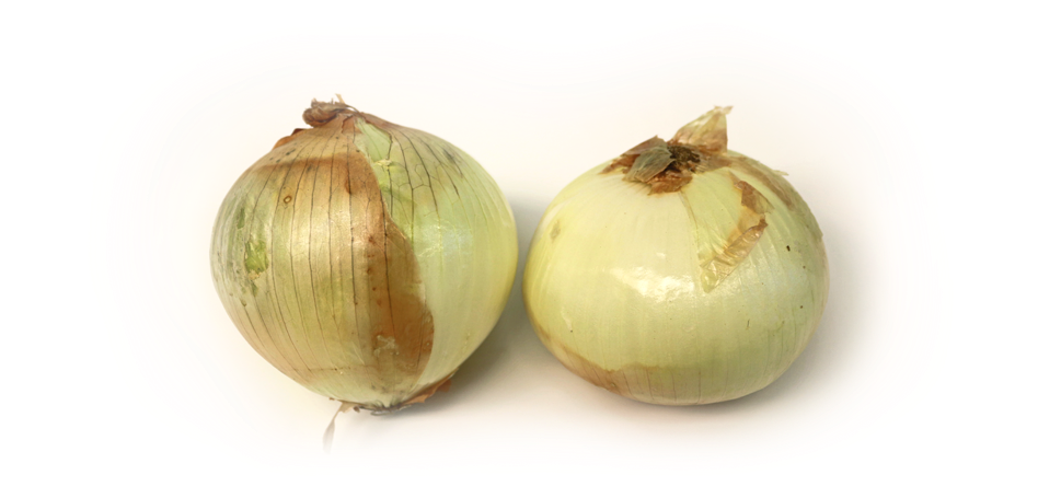 Fresh Whole Onions PNG Image