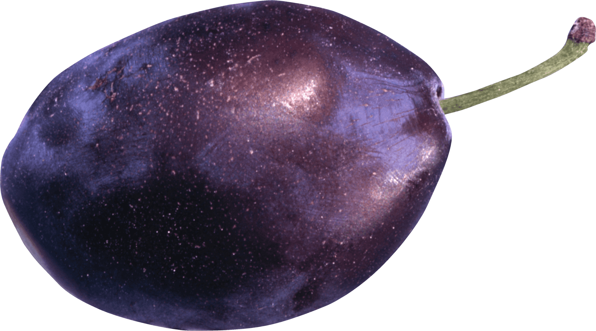 Fresh Whole Plum Fruit PNG Image