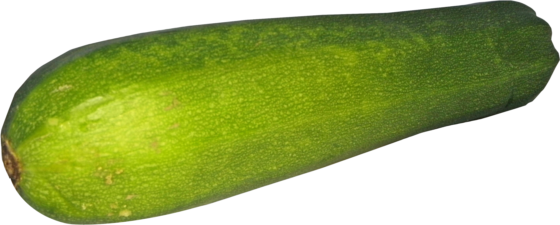 Fresh Zucchini Vegetable PNG Image