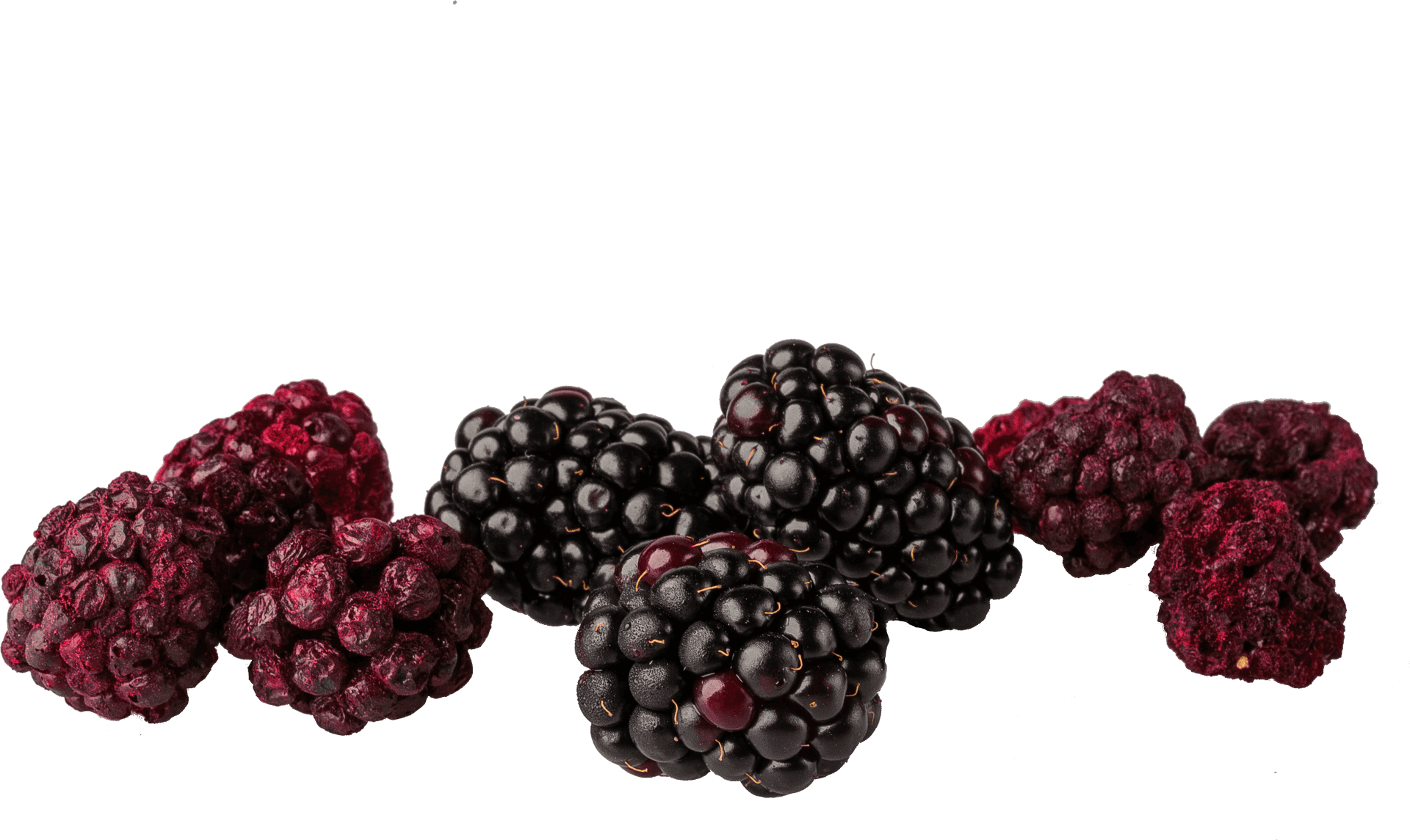 Freshand Dried Blackberries PNG Image