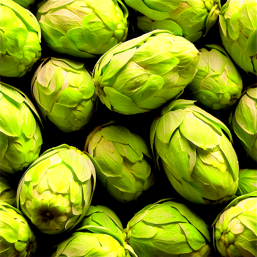 Freshly Picked Hops Png Vff3 PNG Image