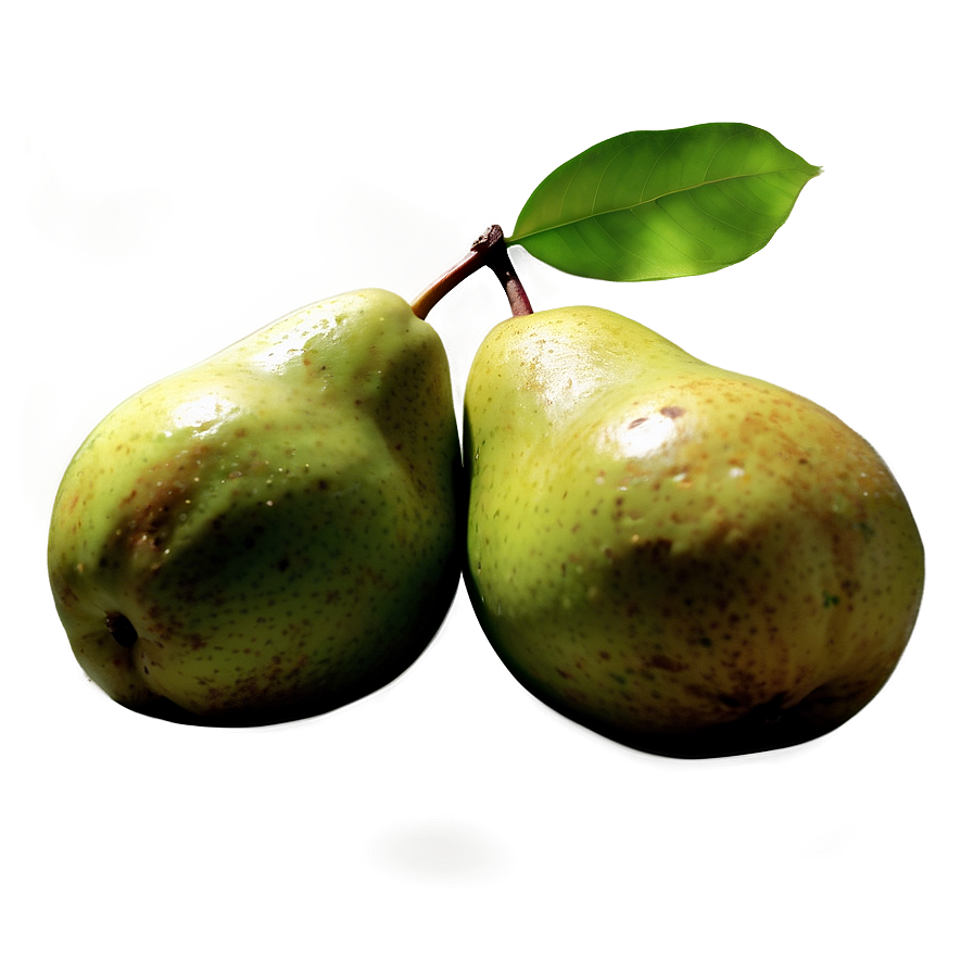 Freshly Picked Pear Png 15 PNG Image