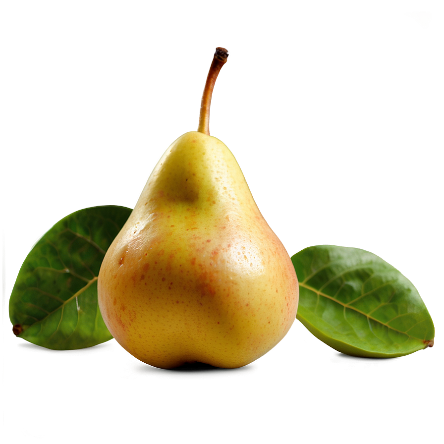 Freshly Picked Pear Png Vbb PNG Image