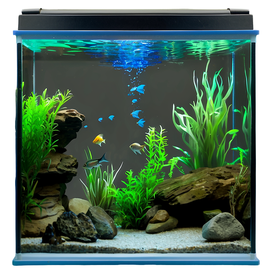 Freshwater Aquarium Png 41 PNG Image