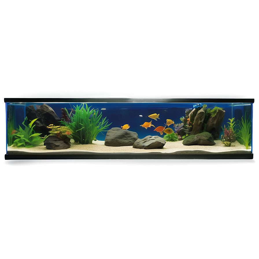 Freshwater Fish Tank Png Okk82 PNG Image