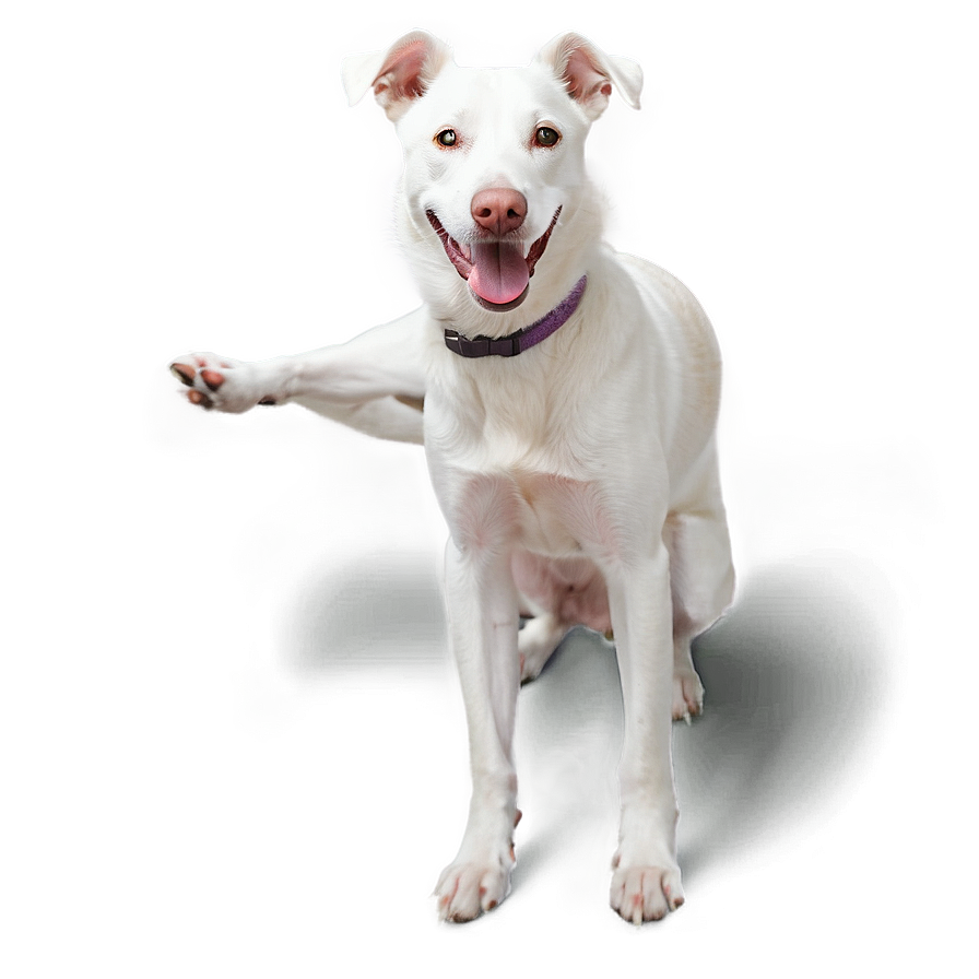 Friendly White Dog Png Mfm52 PNG Image