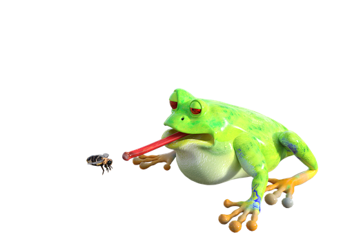 Frog Catching Bee PNG Image