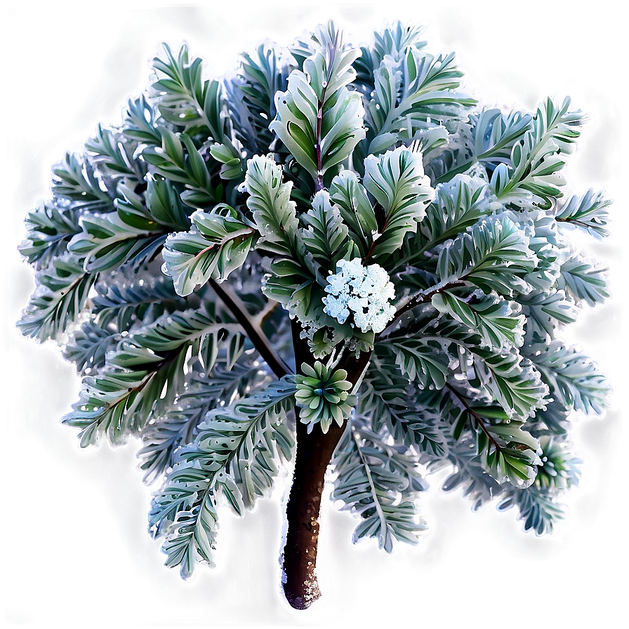 Frost Covered Bush Png 44 PNG Image