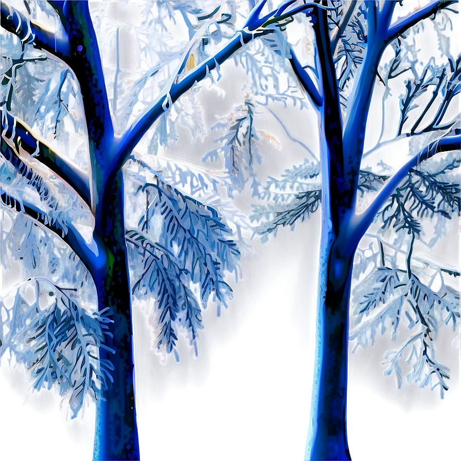 Frost Covered Trees Png 05042024 PNG Image