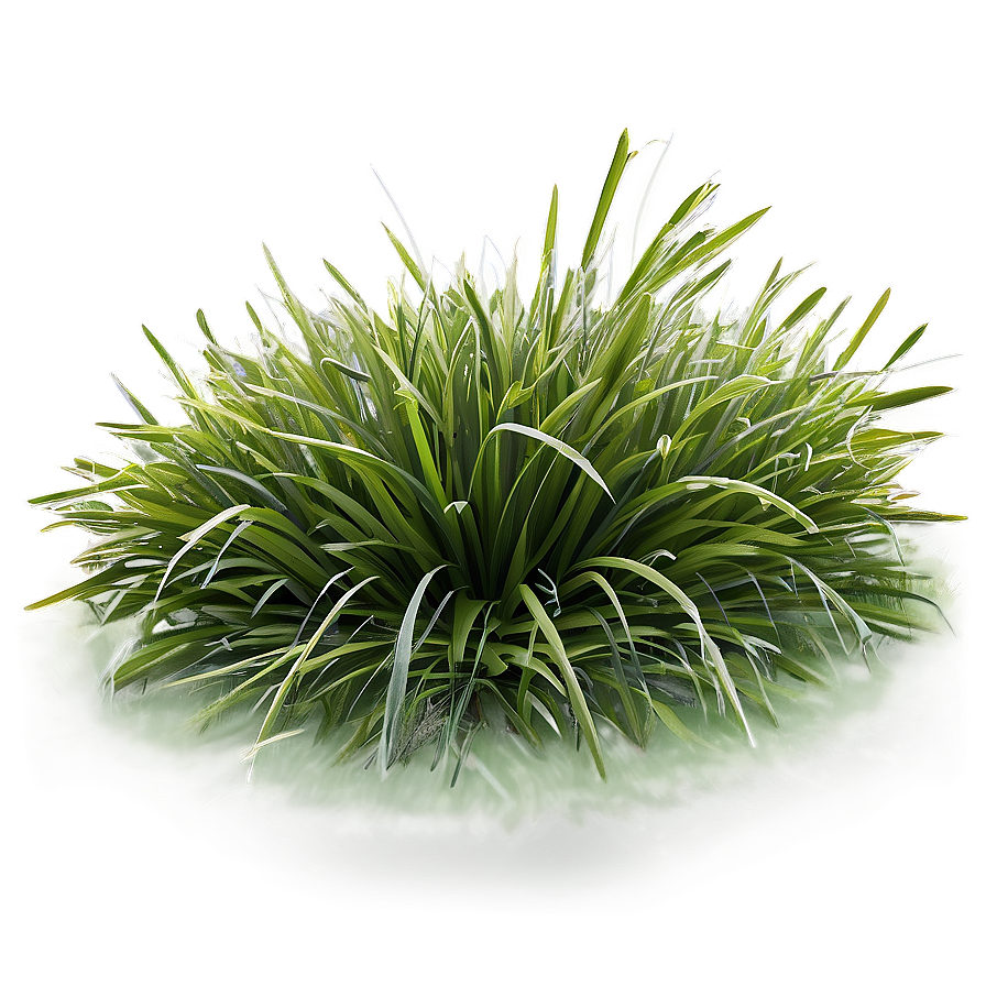 Frostbitten Grass Png Ryx94 PNG Image