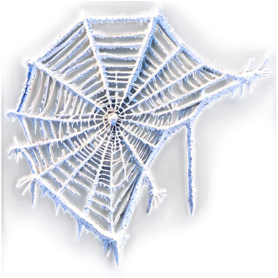 Frosted Spider Web PNG Image