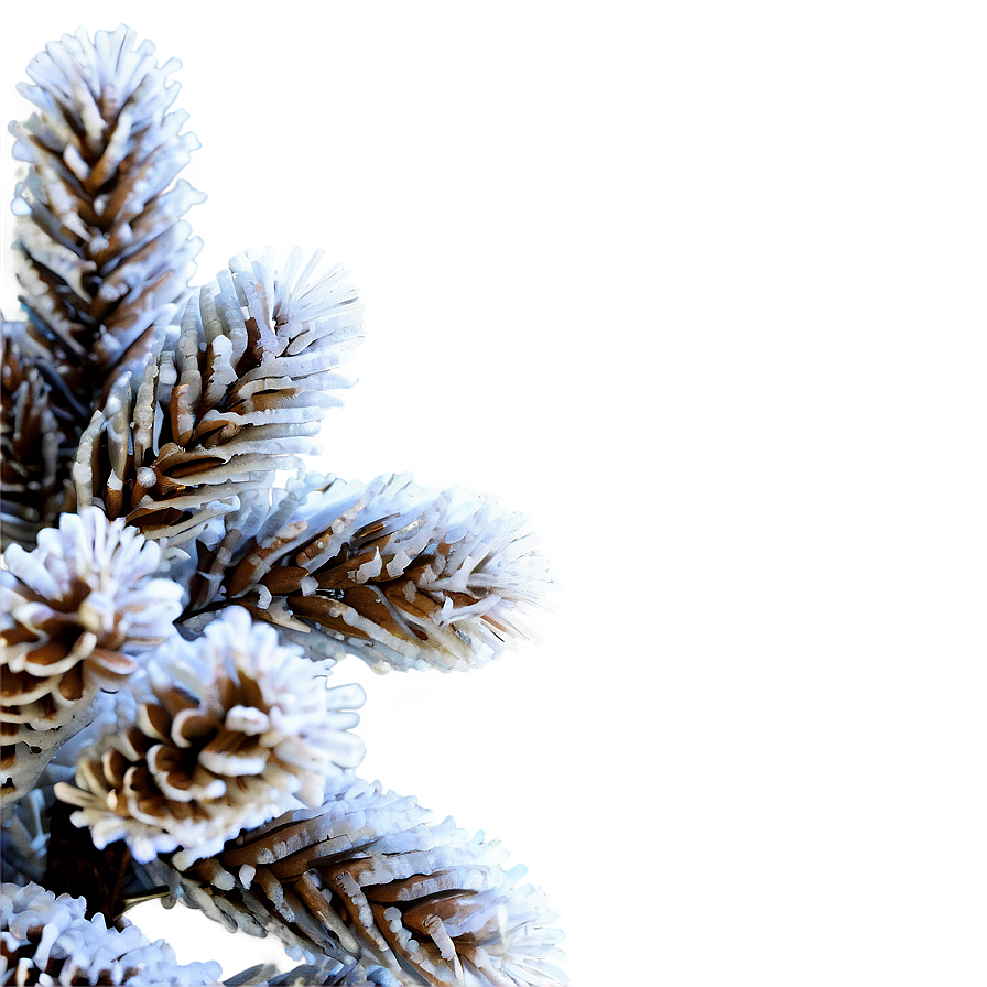 Frosted Tree Branch Png 05252024 PNG Image