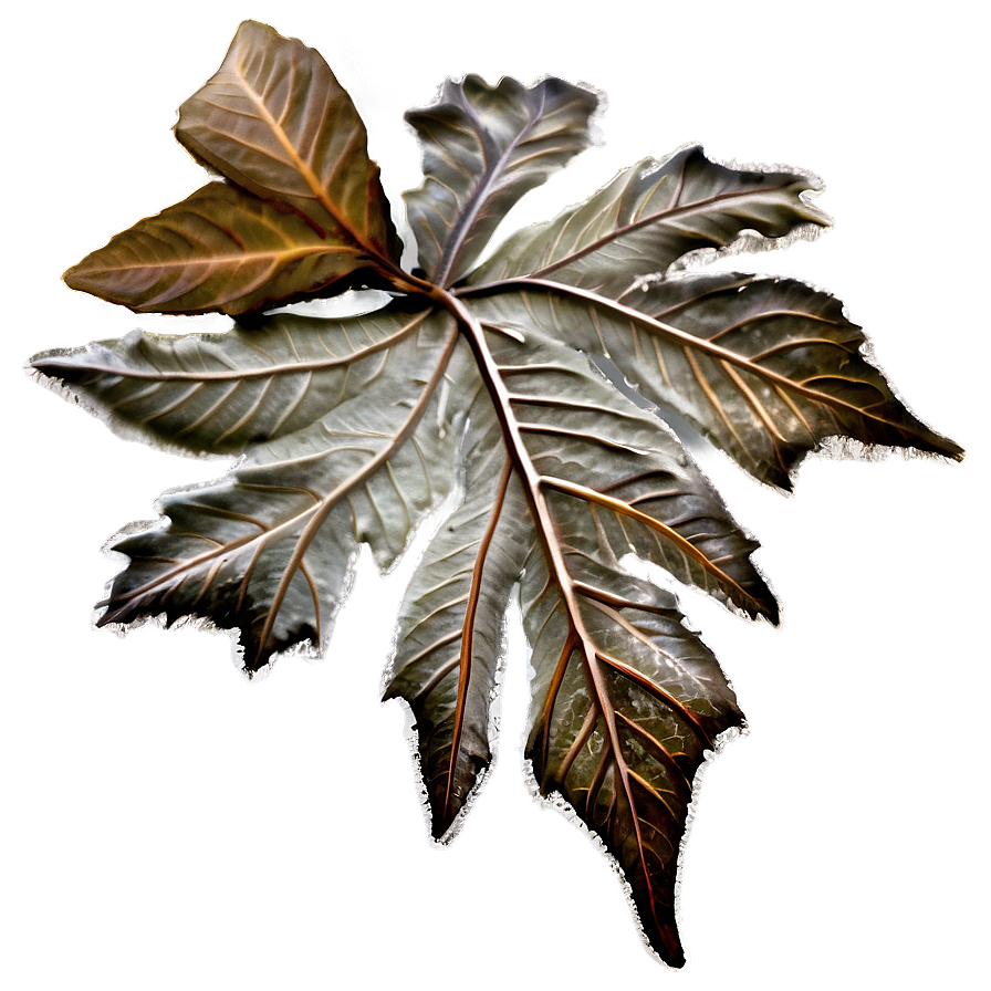 Frosty Morning Fallen Leaves Png Spv PNG Image