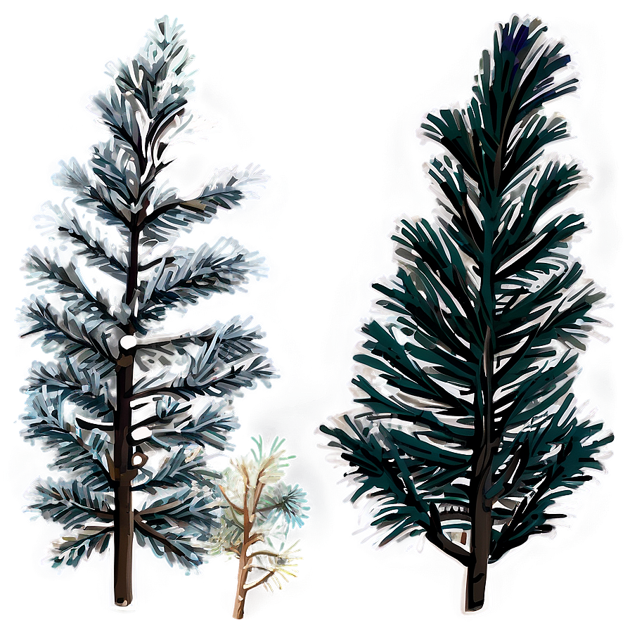 Frosty Pine Trees Png Jln PNG Image