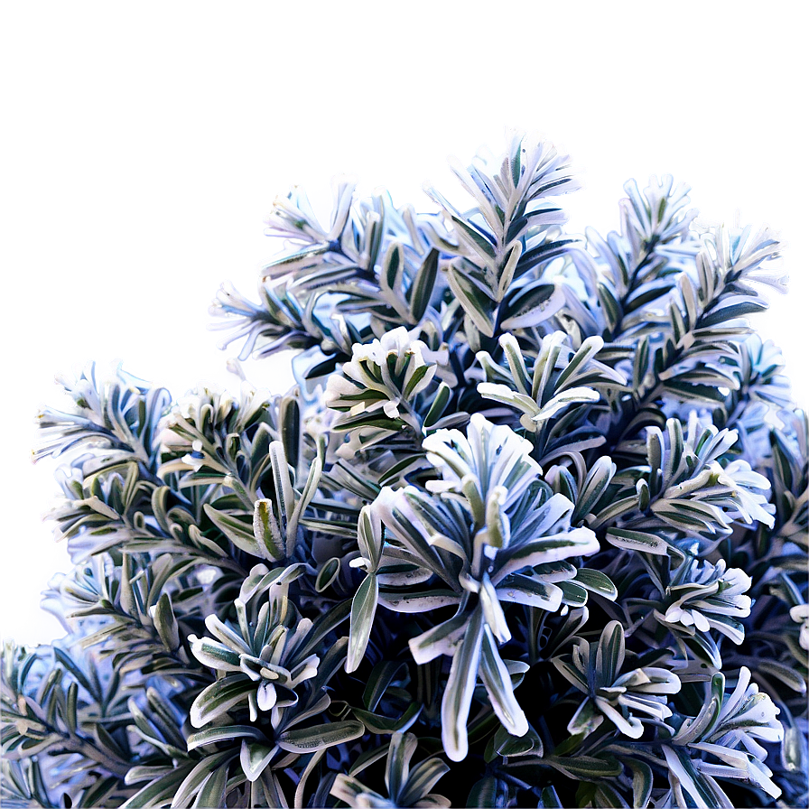 Frosty Shrub Png Mgl PNG Image