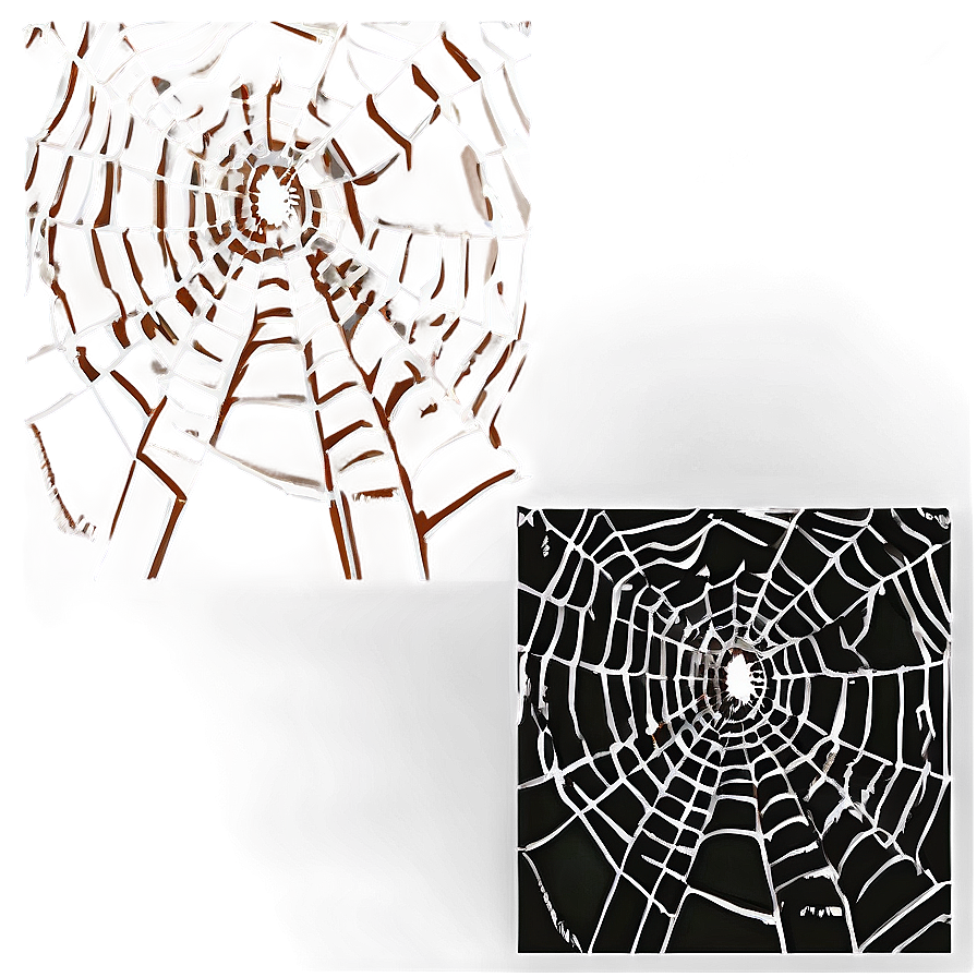 Frosty Spider Web Artwork PNG Image