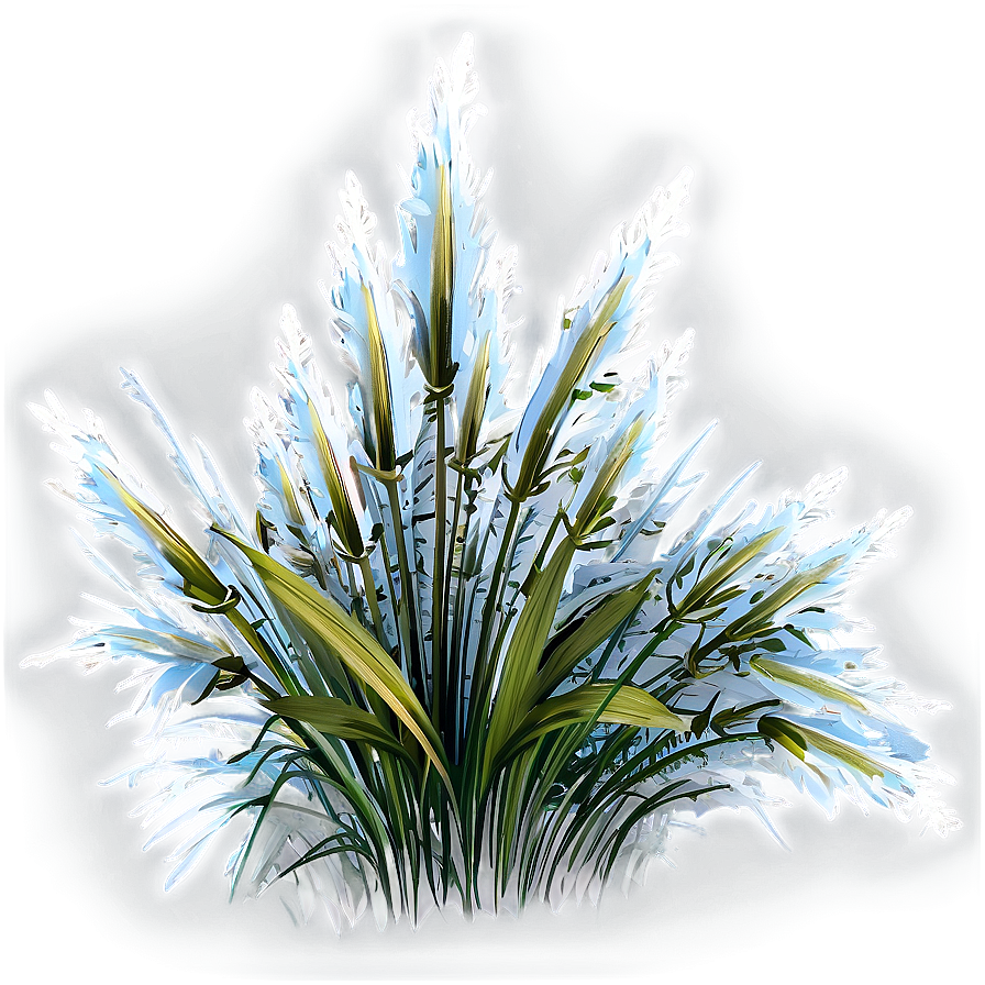 Frosty Wild Grass Png 06292024 PNG Image