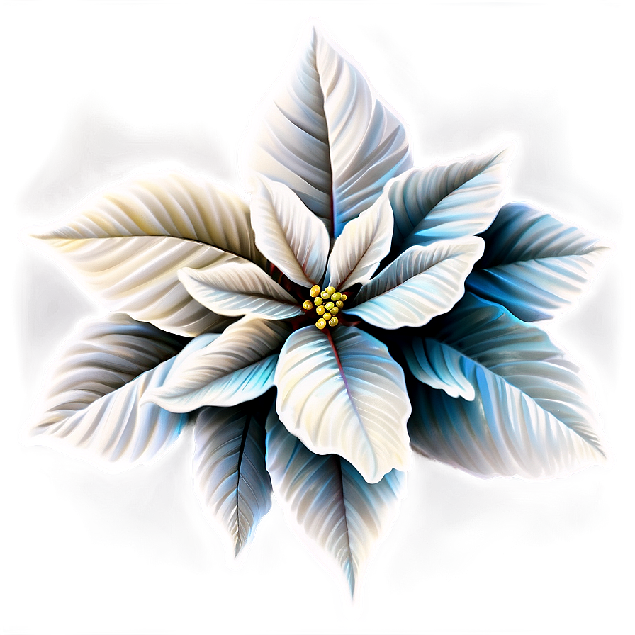 Frosty Winter Poinsettia Png Jwc87 PNG Image