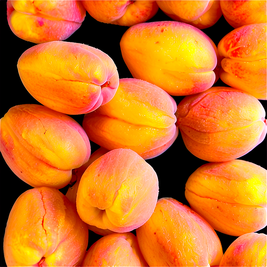 Frozen Apricot Png 88 PNG Image