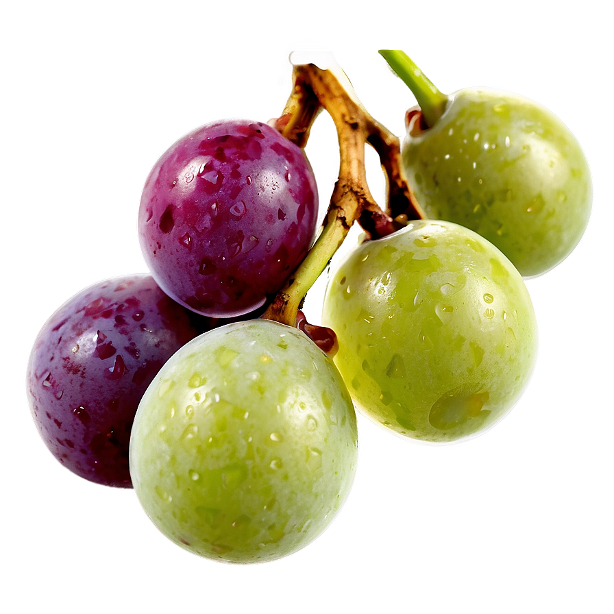 Frozen Grapes Png 13 PNG Image