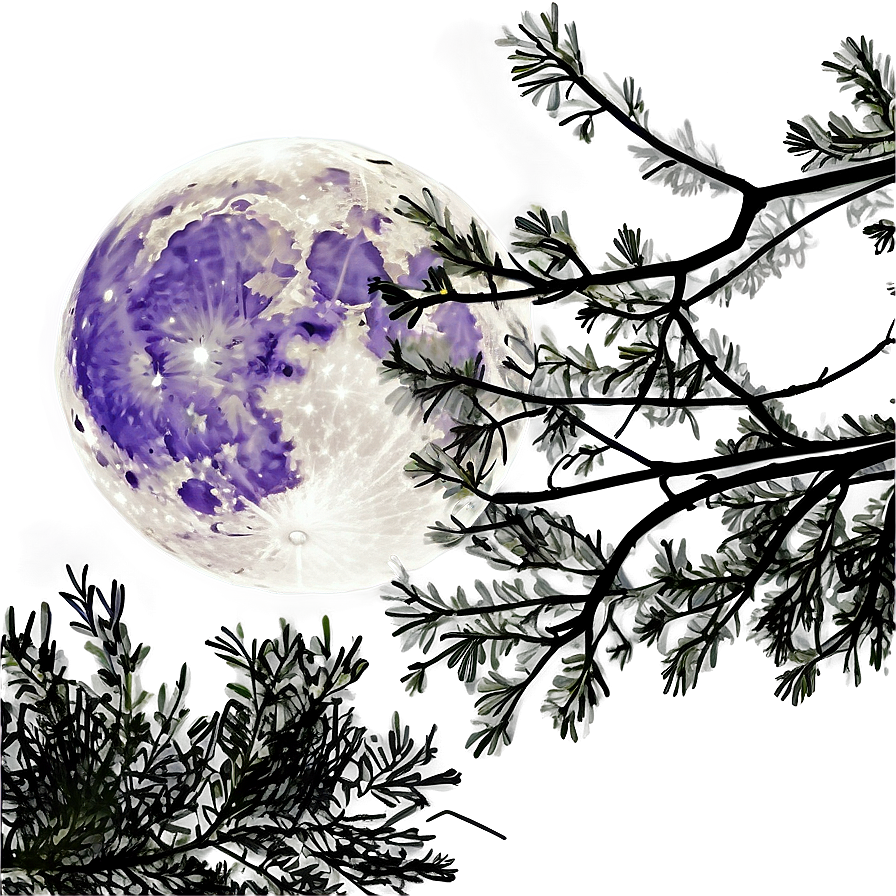 Full Moon Through Branches Png 05242024 PNG Image