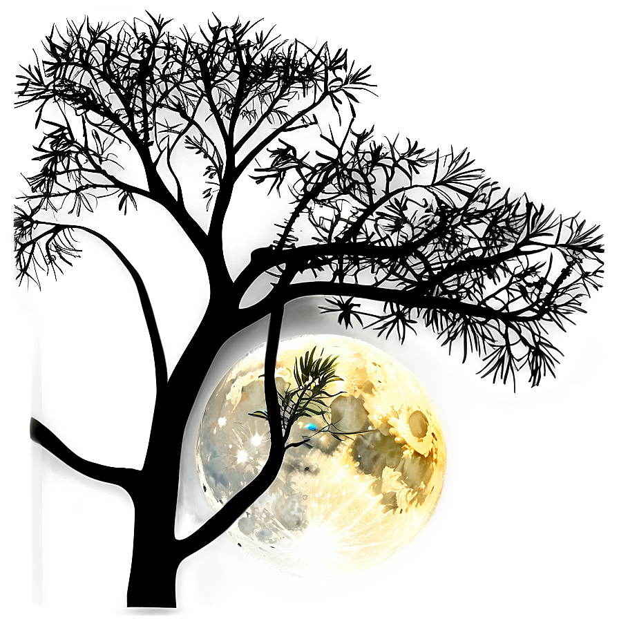 Full Moon Through Branches Png 34 PNG Image